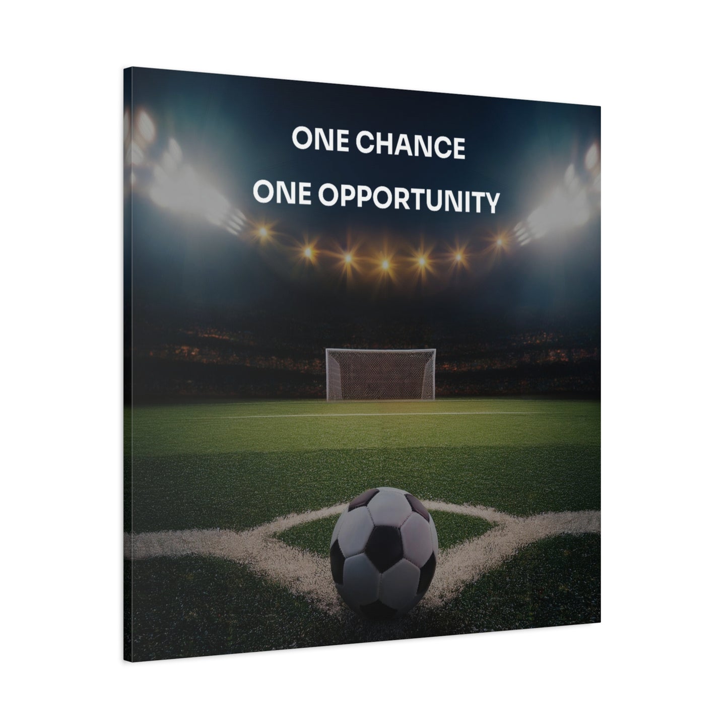 One Chance, One Opportunity Canvas