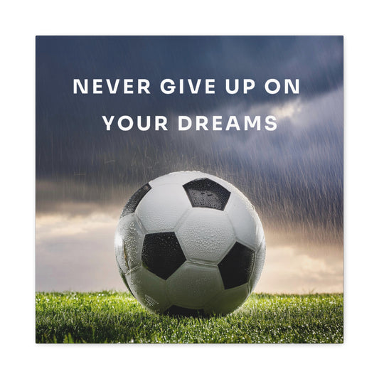 Never Give Up on Your Dreams Canvas